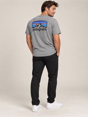 Patagonia Fitz Roy Horizons Responsibili-Tee Logo Gray Like New